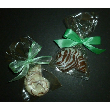 Nautilus White Chocolate Sea Shell in Cello Bag with Bow