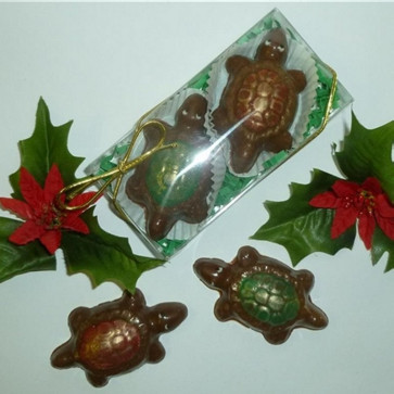 Chocolate Pecan Turtle, Turtles 2 Pack