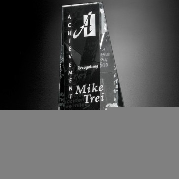 Wedgewood Award 8 in.