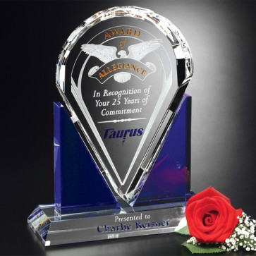 Distinction Award 10-1/2 in.