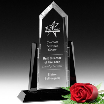 Sunridge Optical Crystal Peak Award 10in