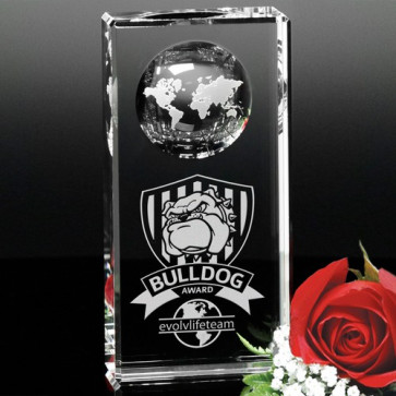 Kendall Global Award 6in