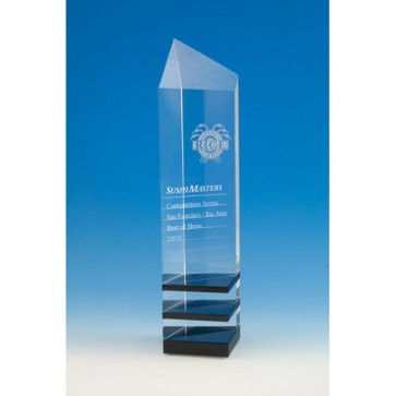 Innovator Optical Crystal Award - MED
