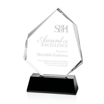 Warner Award - Black