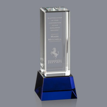Robson Award on Base - Optical/Blue