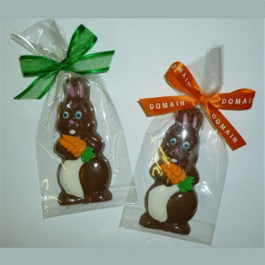 Chocolate Bunny with Carrot Wrapped in Cello Bag with Bow