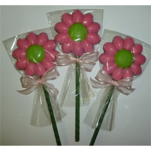 Cosmos Chocolate Flower Pop Tied with a Bow