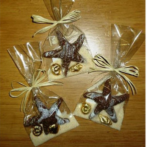 Chocolate Starfish with Foiled Chocolate Sea Shells in Cello