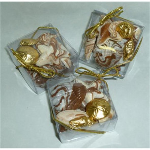 Chocolate Sea Shells with Foiled Shells in Square Box.