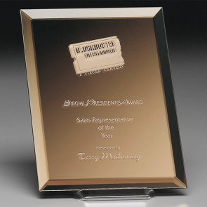 Imagery Bronze Mirror Award 8 in. x 10 in.
