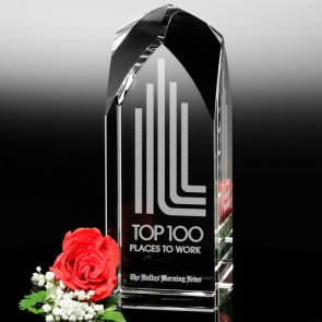Blenheim Optical Crystal Award 10in