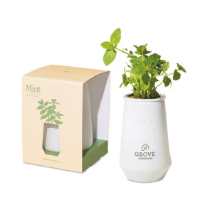 Modern Sprout® Tapered Tumbler Grow Kit - White Planter - MINT
