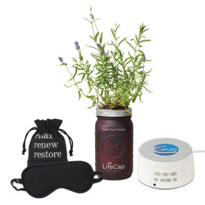 Moment of Calm Gift Set with Sound Machine, Lavender Grow Kit, Eye Mask