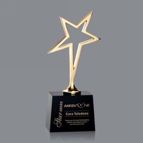 Keynes Star Award - Black/Gold 10in.