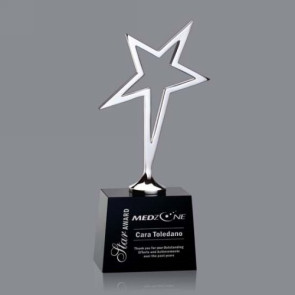 Keynes Star Award - Black/Silver 10in.