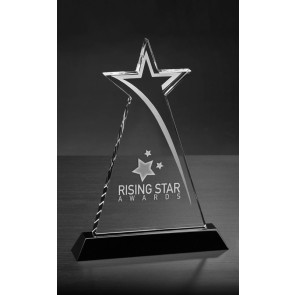 Vega Star Glass Recognition Award
