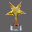 Triumph Star Award on Clear Base - 10.5 in.