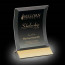 Dominga Award - Black Glass Award with Gold 4 in x6 in