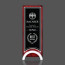 Oliveira Award in Rosewood and Aluminum on Base 9in