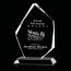 Mercer Award - Starfire 10in
