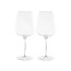 Magnum Big Wine Glass Set of 2 - No Imprint (BIGGER)
