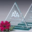 Princeton Triangle Award 6 in.