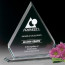 Dynasty Award 9-1/2 in.