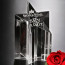 Aquila Star Award 6