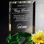 Greenbury Award 7-1/2