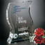 Malibu Award Optical Crystal Award 6 in.
