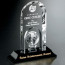 Springfield Global Award 8-1/2 in.