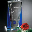Sentinel Award 8-1/2 in.
