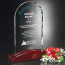 Parkdale Arch Award 9-1/2 in.