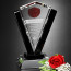Conquest Optical Crystal and Black Glass Award 8 in.