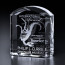 Morton Optical Crystal 3D Award 6 in