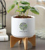  Ceramic Planter Set with Imprint