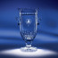Curator Cup Lead Crystal Championship Award- MED