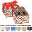 Gala Gift Box - 4 Chocolate Covered Pretzel Knots with Holiday