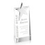 Carina Award