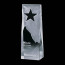 Stapleton Star Award - Optical 8 in.