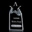 Augustine Star Award - Optical 8.75