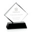 Nicolina Award - Black