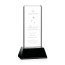 Vestige Award