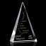 Monroe Award - Optical 10 in