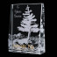 Miranda Award - Optical 3 in.x4 in.
