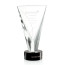 Mustico Award