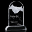 Partnership Award - Optical 9.5 in.