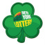 Full Color Shamrock Coaster