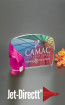  Custom Ovation Award with Custom Glow Glass Wedge - Small