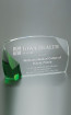 Ovation Award with Custom Glow to Match Branding - Large